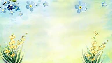 蓝天下的蝴蝶花丛美景视频的预览图
